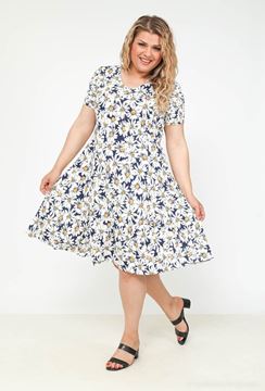 Picture of CURVY GIRL LACE DRESS